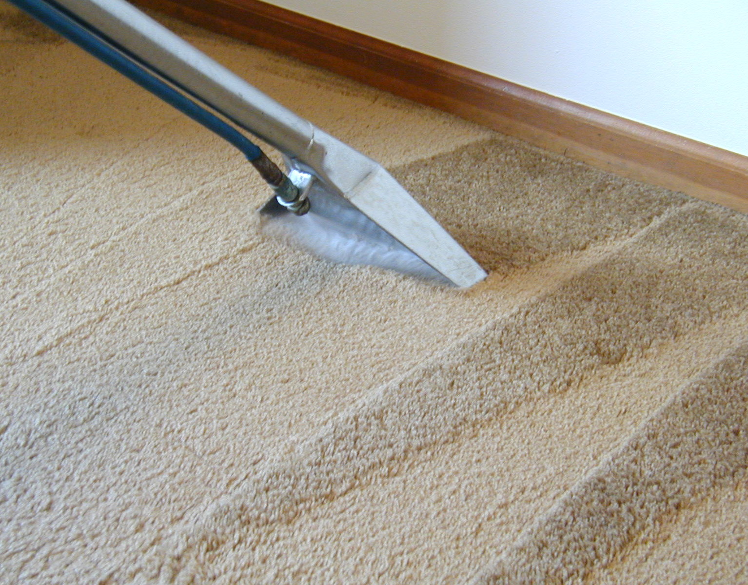 Farmington Hills Carpet Cleaning business image in Farmington HIlls, MI